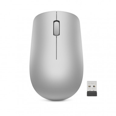 Lenovo Campus 530 Wireless Mouse (platinum)